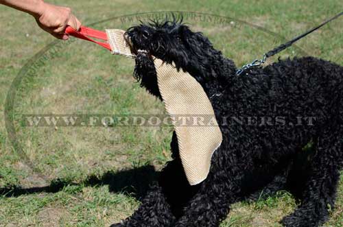 Riporto da mordere in juta per Terrier nero russo